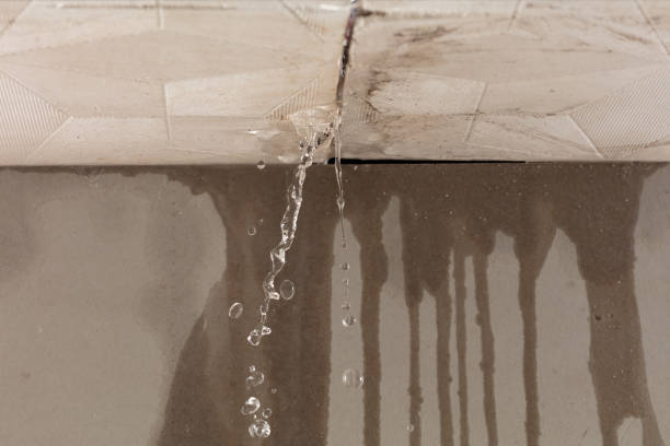 Professional Flood Damage Cleanup technician working in Hortonville, WI